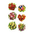 product_2715_image_29611.jpg