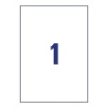 ZW468(2).jpg