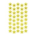 product_2643_image_29457.jpg