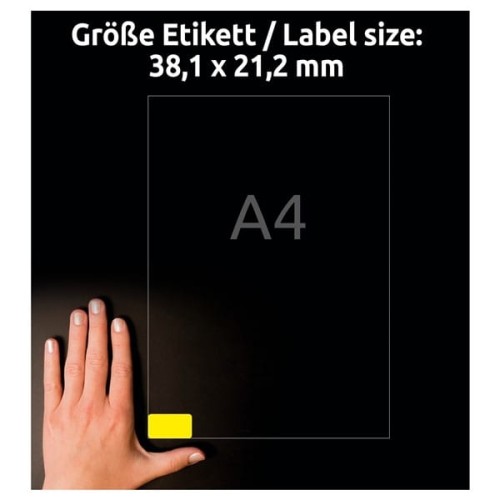 product_2488_image_35209.jpg