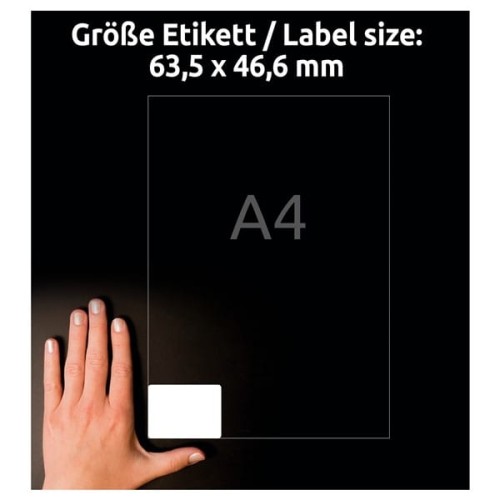product_2489_image_35221.jpg