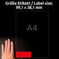 product_2499_image_31227.jpg