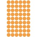 product_2007_image_29098.jpg