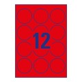 product_2421_image_34503.jpg